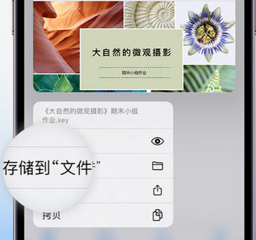 北海街道apple维修中心分享iPhone文件应用中存储和找到下载文件