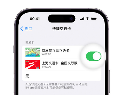 北海街道apple维修点分享iPhone上更换Apple Pay快捷交通卡手绘卡面 