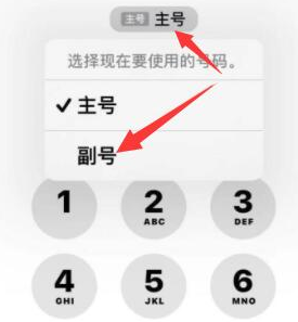 北海街道苹果14维修店分享iPhone 14 Pro Max使用副卡打电话的方法 