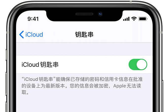 北海街道苹果手机维修分享在 iPhone 上开启 iCloud 钥匙串之后会储存哪些信息 