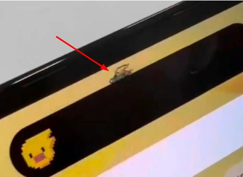 北海街道苹果14维修分享iPhone 14 Pro Max灵动岛怎么养宠物 