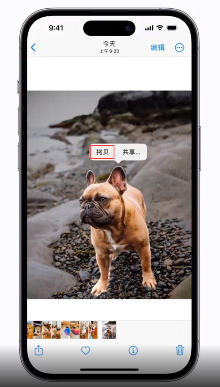 北海街道 苹果手机维修分享iOS 16 “照片”应用更新内容与改进汇总 