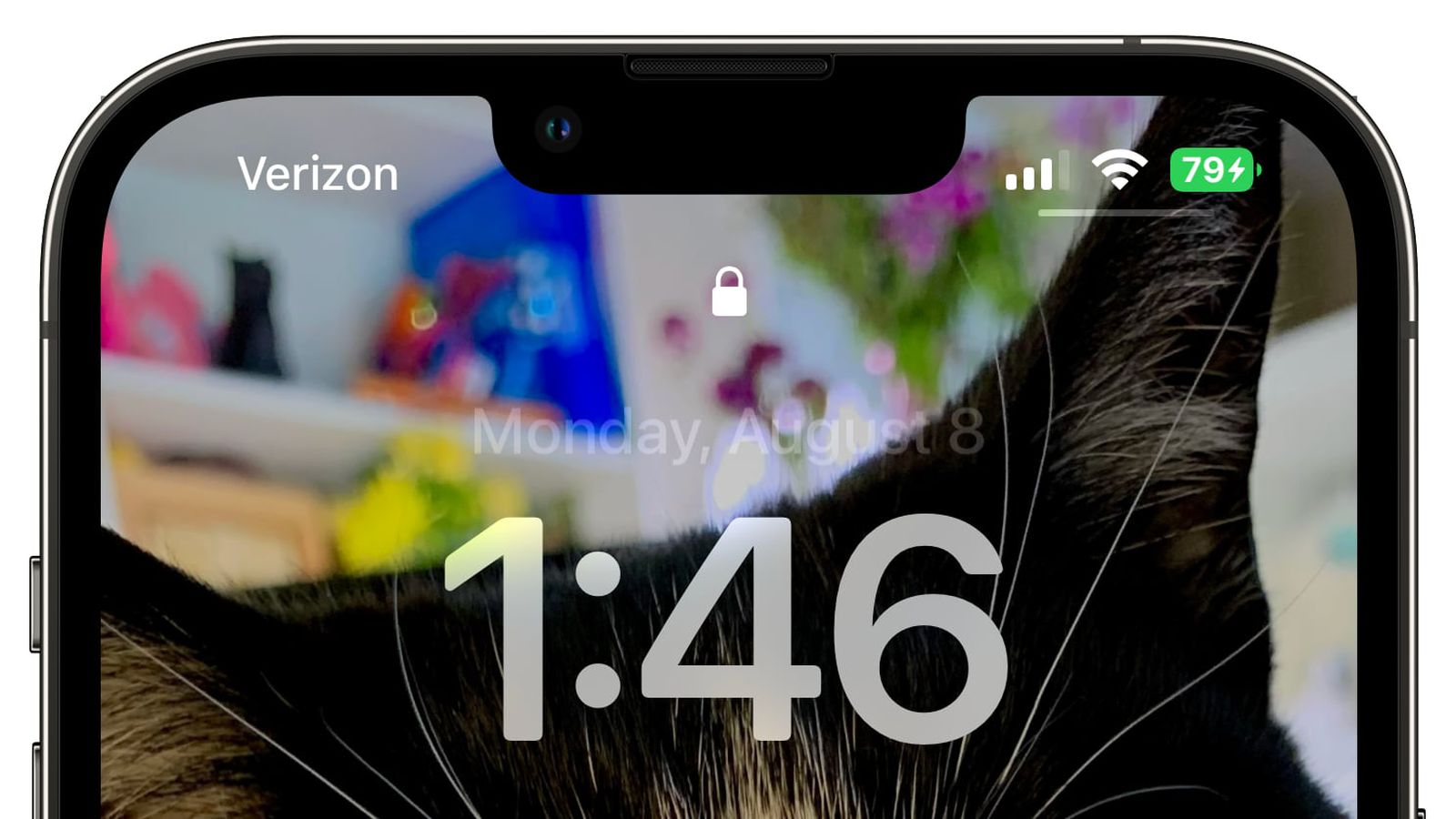北海街道苹果手机维修分享iOS 16 beta 5 支持状态栏显示电池百分比，如何开启？支持哪些机型 